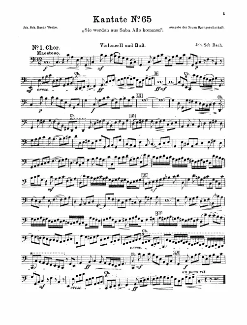 Cellos/Basses