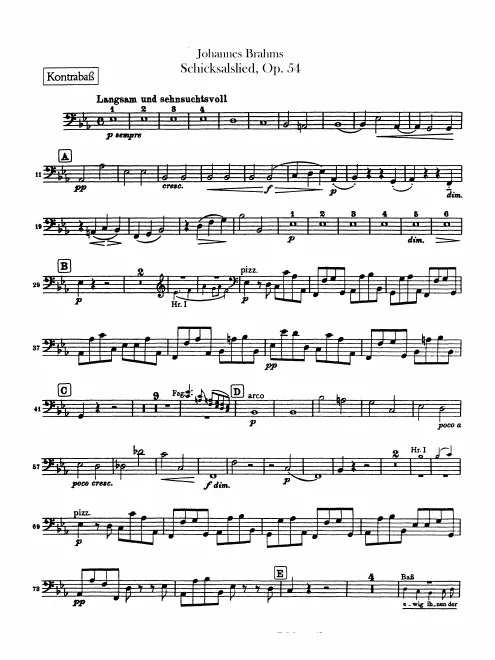 Basses