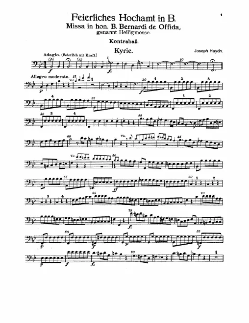 Basses