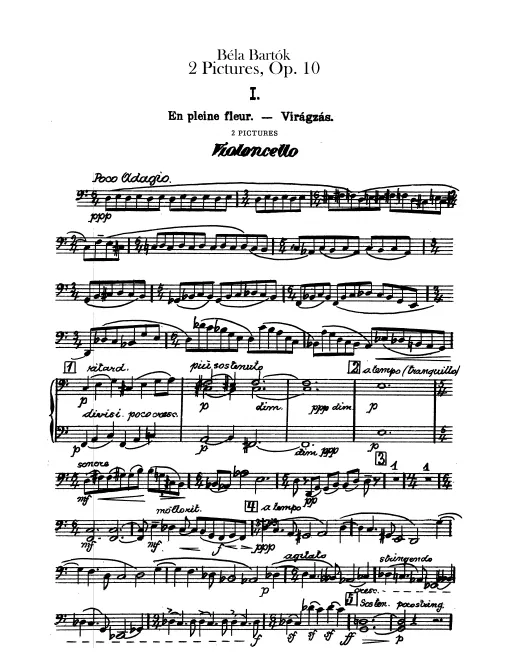 Cellos