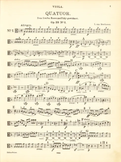 Viola