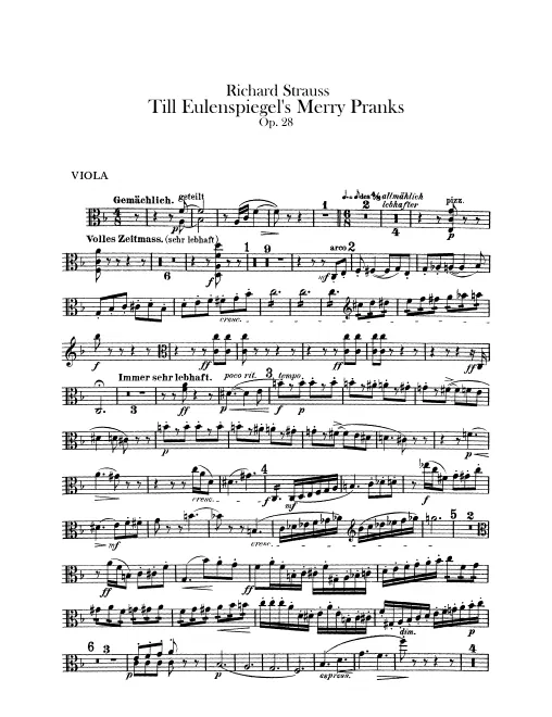 Violas
