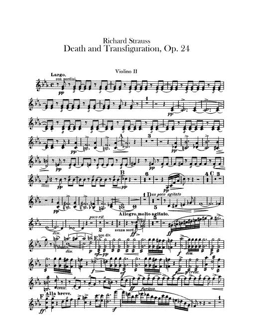 Violins II