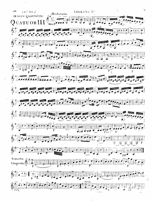 Violin 2