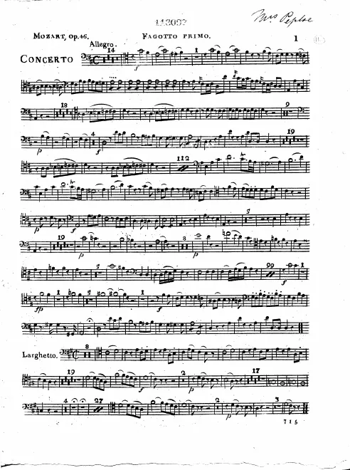 Bassoon 1