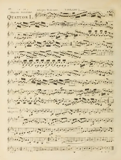 Violin 2