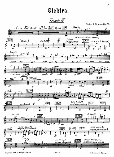 Trumpet 4