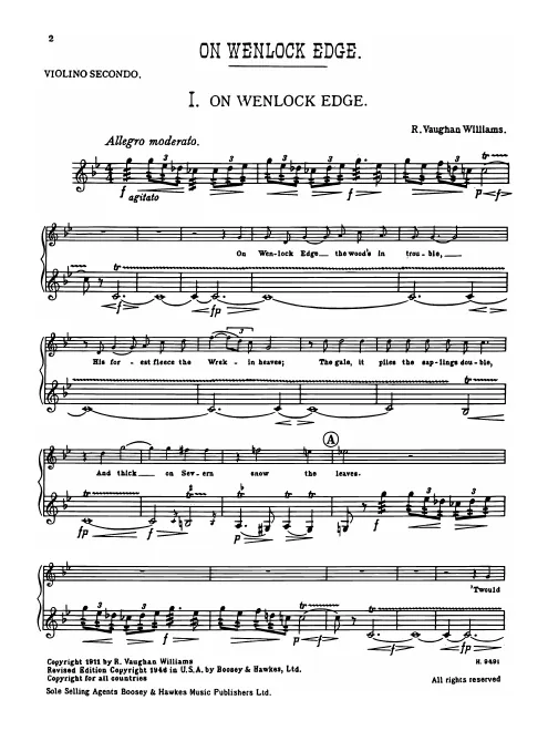 Violin 2