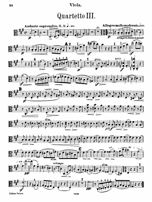 Viola