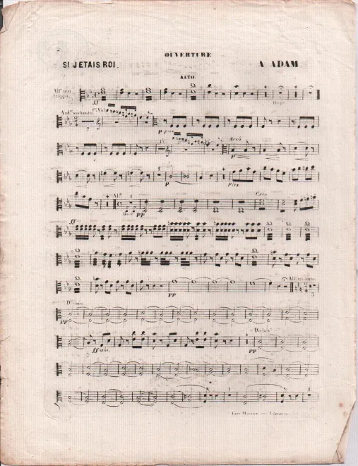 Violas