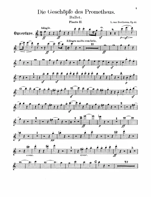 Flute 2