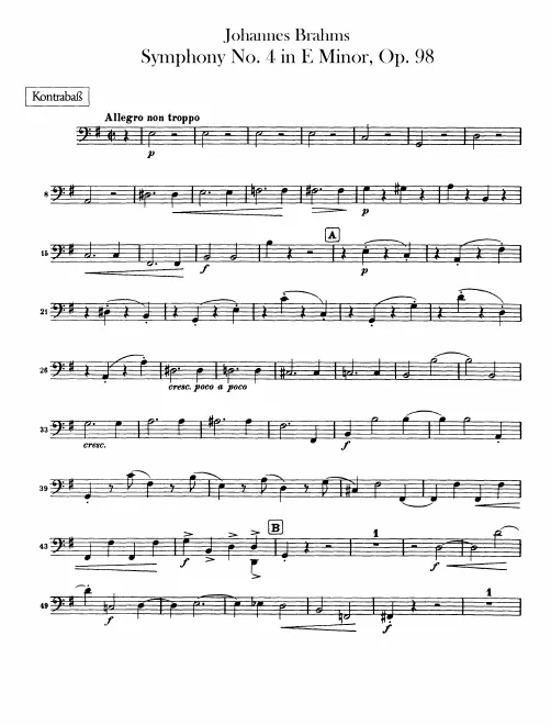 Basses