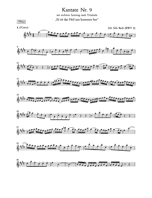 Flute