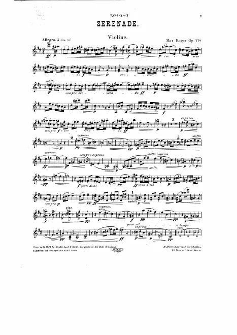 Violin
