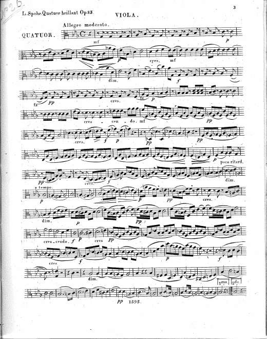 Viola