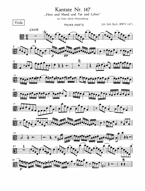 Violas