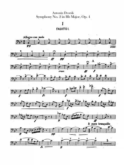 Bassoon 1