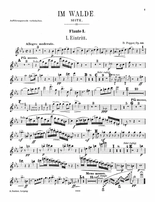Flute 1