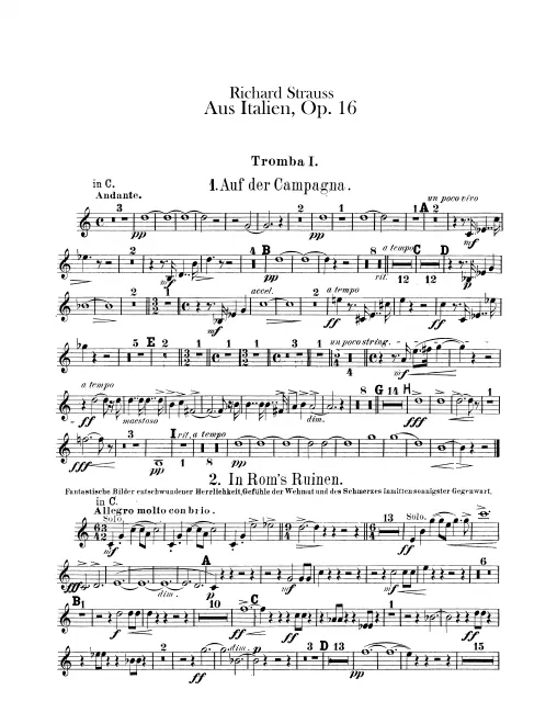 Trumpet 1 (C/D)