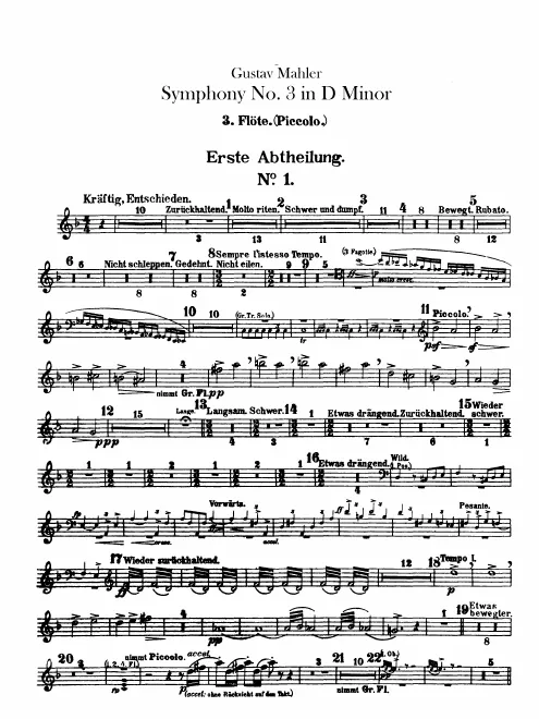 Flute 3/Piccolo 3
