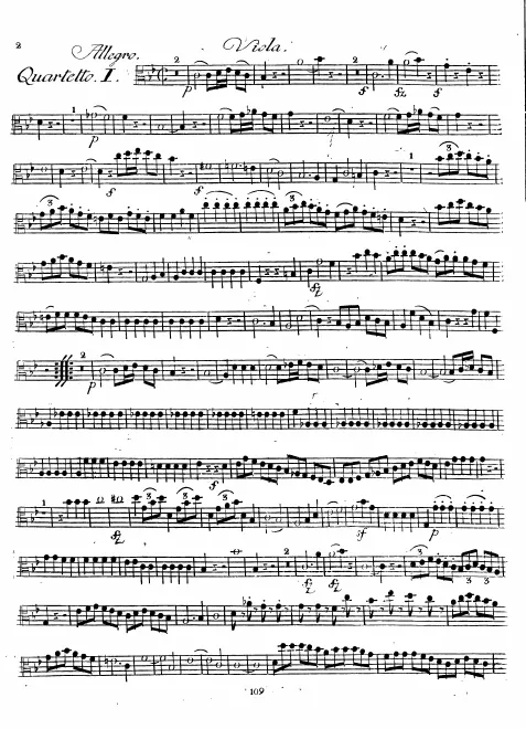 Viola