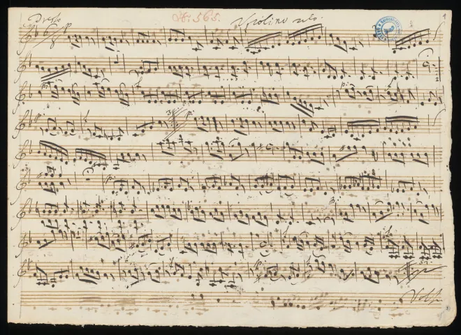 Violin 2