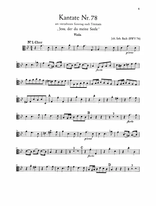 Violas