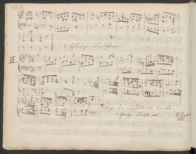 Complete manuscript in high resolution (page 226-270)