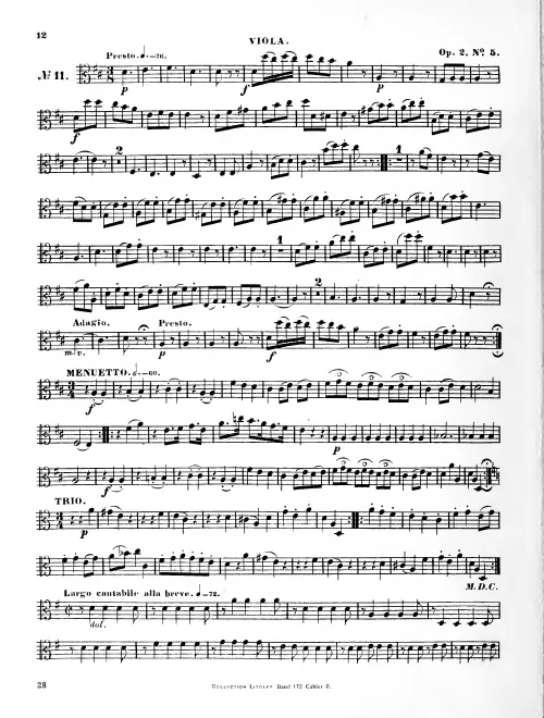 Viola