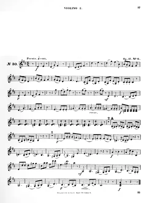 Violin 2