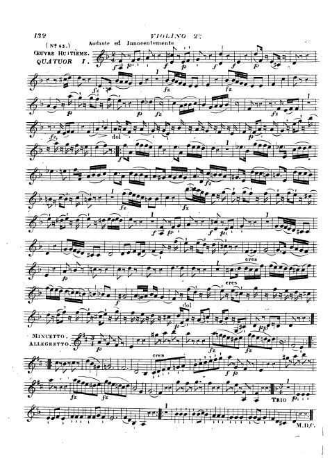 Violin 2