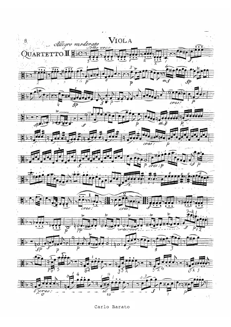 Viola