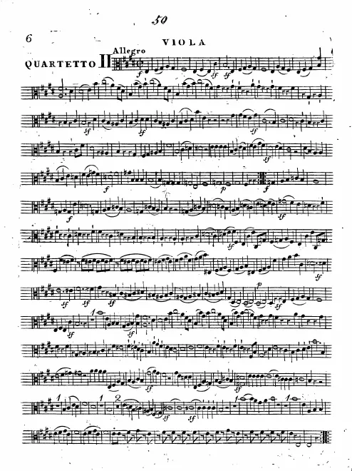 Viola