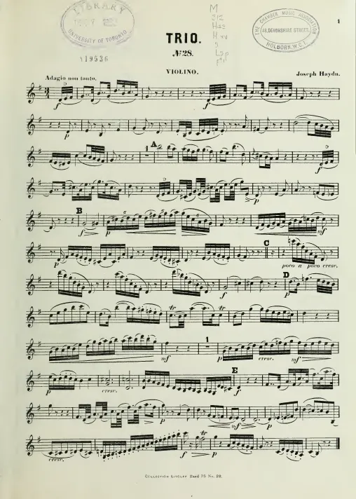 Violin
