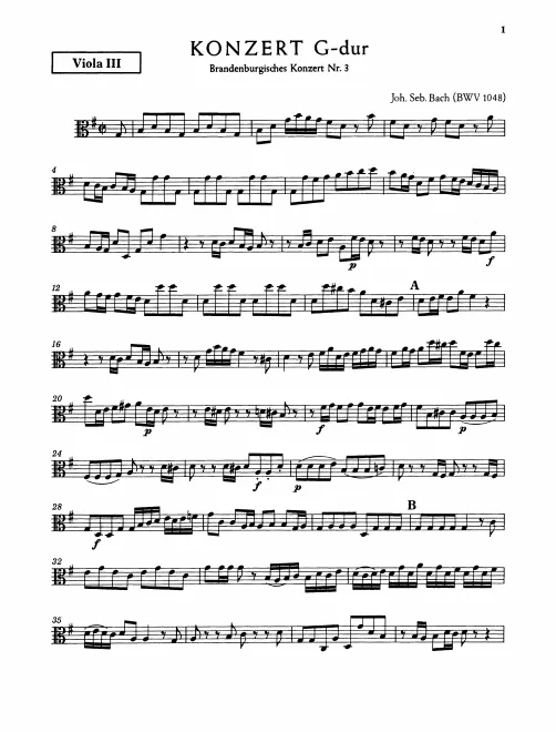 Viola 3