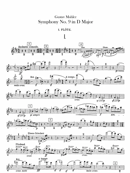 Flute 1
