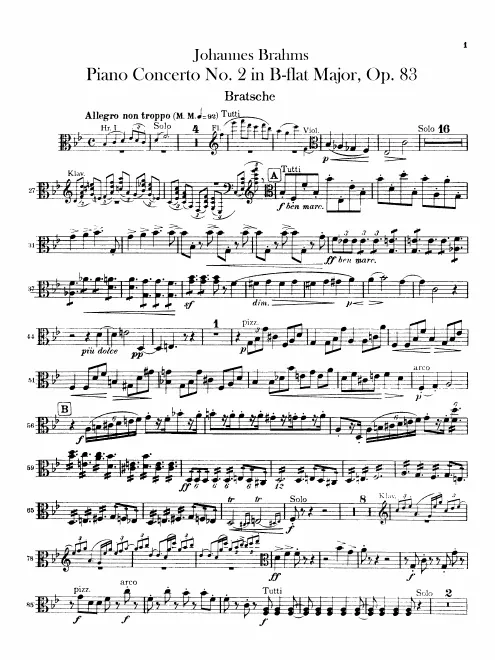 Violas