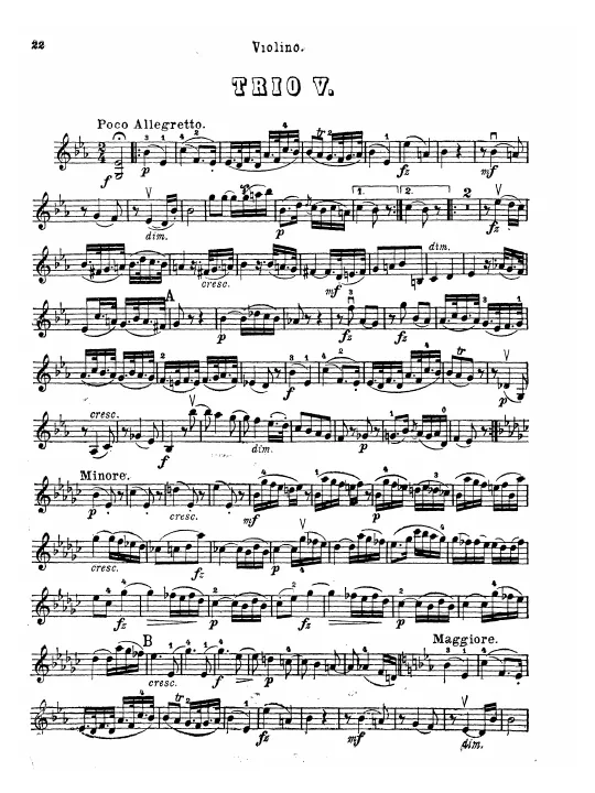 Violin