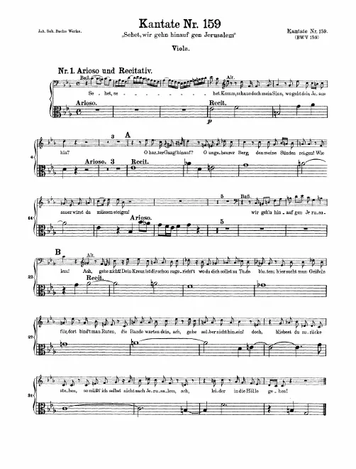 Violas