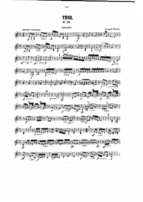 Violin