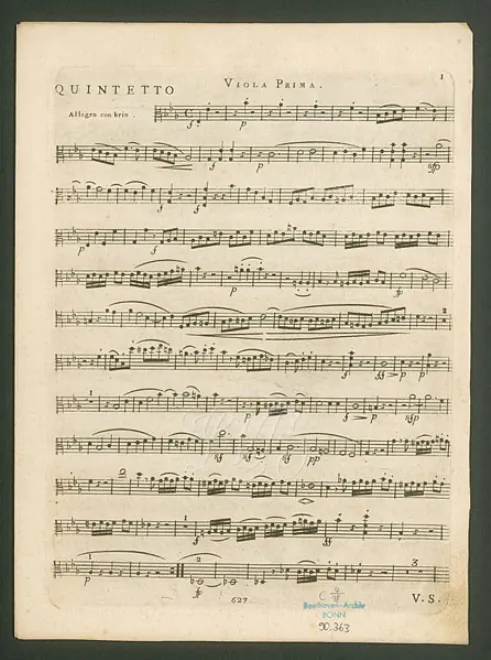 Viola 1