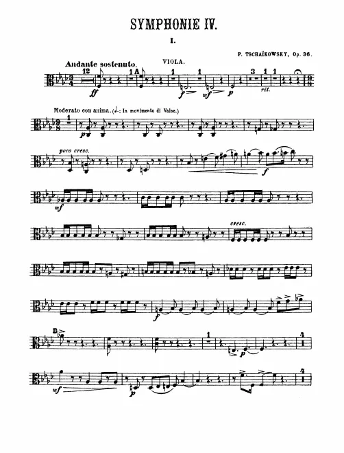 Violas