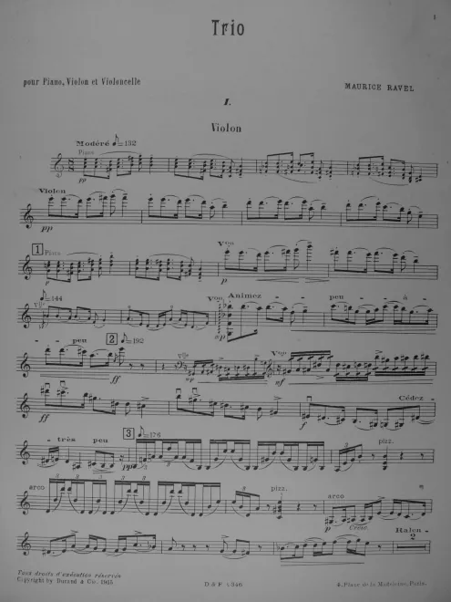 Violin
