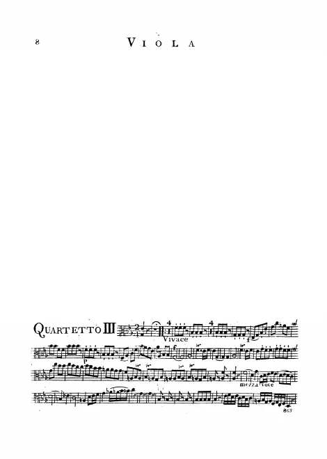 Viola
