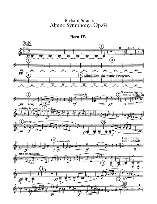 Horn 4 (F)