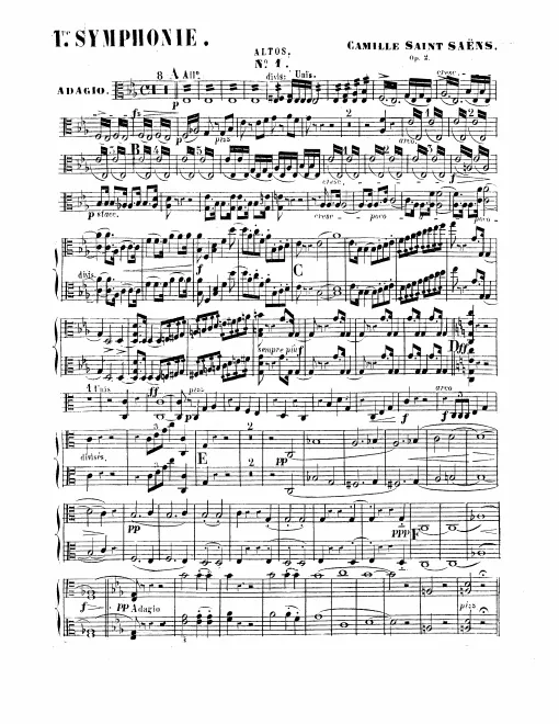 Violas