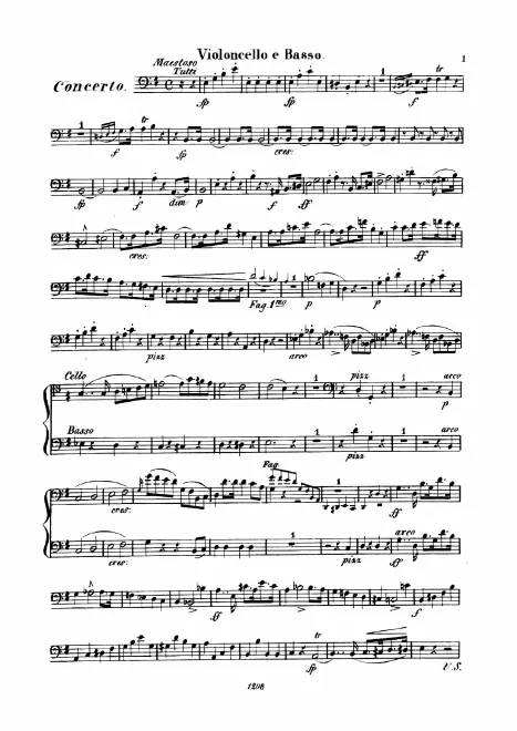 Cellos/Basses