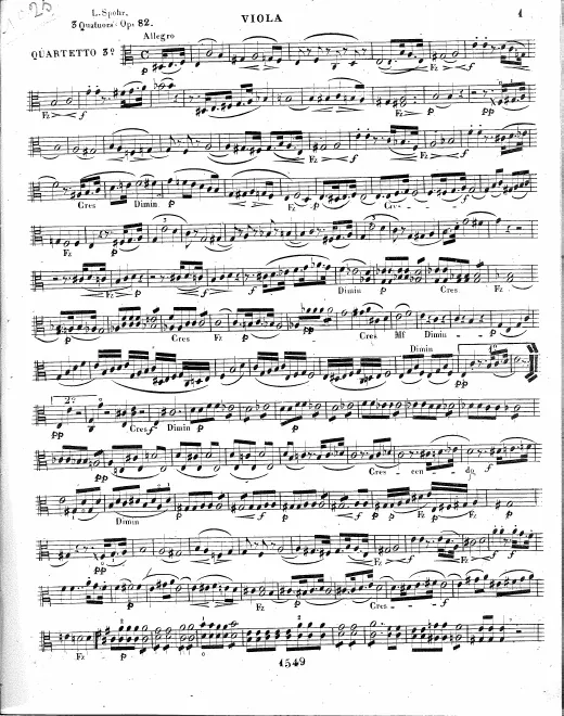 Viola
