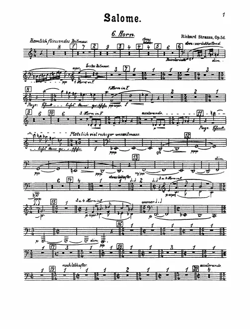 Horn 6
