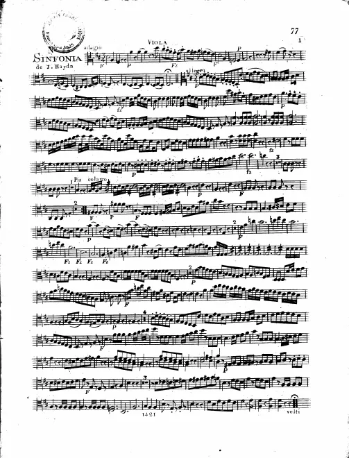 Violas